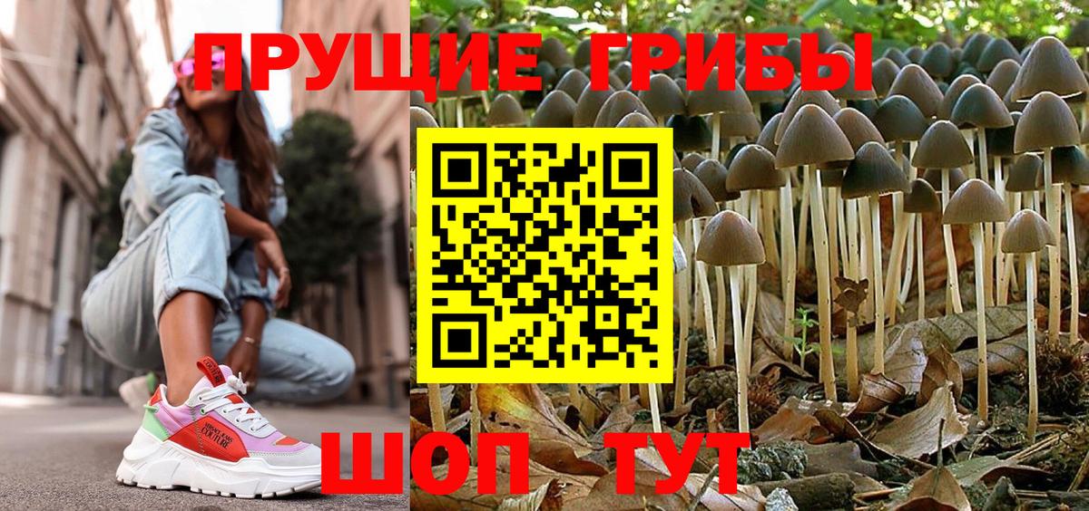 Псилоцибиновые грибы мухоморы Нижнеудинск